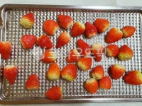 strawberry, 딸기, berry, fruit, 과일, 사진,이미지,일러스트,캘리그라피 - 양파스토리작가 크라우드픽 - 저작권 걱정 없는 상업용 이미지