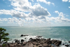 동백섬, 바다, 누리마루, apec, 바위, 사진,이미지,일러스트,캘리그라피 - Jack Park작가 크라우드픽 - 저작권 걱정 없는 상업용 이미지