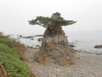 바다풍경, 작은바위, 좋은풍경, 산책로, 파도소리길, 사진,이미지,일러스트,캘리그라피 - 레인보우2작가 크라우드픽 - 저작권 걱정 없는 상업용... 