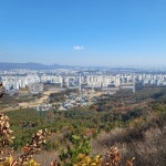 vegetation, 초목, woodland, 삼림지, 나무, 사진,이미지,일러스트,캘리그라피 - 여우각시별 77작가 크라우드픽 - 저작권 걱정 없는 상업용... 