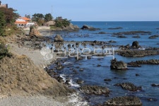 주상절리, 양남주상절리, 경주, 경주주상절리, 바다, 사진,이미지,일러스트,캘리그라피 - 늑돌이작가 크라우드픽 - 저작권 걱정 없는 상업용 이미지