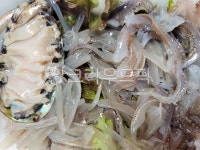 오징어, 오징어회, 산오징어회, 산오징어, 해산물, 사진,이미지,일러스트,캘리그라피 - 아르미야작가 크라우드픽 - 저작권 걱정 없는 상업용 이미지