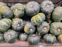 미니호백, 단호박, 호박, vegetable, 채소, 사진,이미지,일러스트,캘리그라피 - 리앤스토리작가 크라우드픽 - 저작권 걱정 없는 상업용 이미지