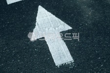 횡단보도, 화살표, 표시, 아스팔트, 상징, 사진,이미지,일러스트,캘리그라피 - Njinlee982005작가 크라우드픽 - 저작권 걱정 없는 상업용 이미지