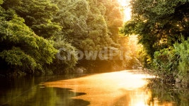 제주, 제주도, 서귀포시, 걸매생태공원, 솜반천, 사진,이미지,일러스트,캘리그라피 - peace2019작가 크라우드픽 - 저작권 걱정 없는 상업용 이미지