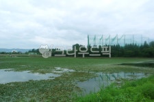 저수지, 호수, 연못, 웅덩이, 쉼터, 사진,이미지,일러스트,캘리그라피 - vvind작가 크라우드픽 - 저작권 걱정 없는 상업용 이미지