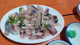 고등어회, 욕지도고등어, 회, 고등어, 음식, 사진,이미지,일러스트,캘리그라피 - 달토깽이작가 크라우드픽 - 저작권 걱정 없는 상업용 이미지