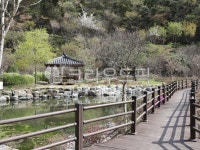 reservoir, 저수지, 전남화순세량지, jeonnamhwasunseryangji, hwasunseryangji, 사진,이미지,일러스트,캘리그라피 - miso1004작가... 