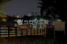 쌍암공원, 아경, 다리, 호수, 첨단, 사진,이미지,일러스트,캘리그라피 - 데일리미니작가 크라우드픽 - 저작권 걱정 없는 상업용 이미지
