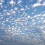 구름, 하늘, 양떼구름, cloud, sky, 사진,이미지,일러스트,캘리그라피 - dntmfdl작가 크라우드픽 - 저작권 걱정 없는 상업용 이미지