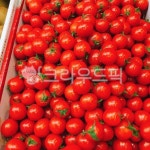 방울토마토, 토마토, 레드, 과일, 시장, 사진,이미지,일러스트,캘리그라피 - bomin작가 크라우드픽 - 저작권 걱정 없는 상업용 이미지