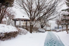 자연, nature, 옥외, outdoors, 정자, 사진,이미지,일러스트,캘리그라피 - studio H작가 크라우드픽 - 저작권 걱정 없는 상업용 이미지