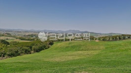 서산, 한우목장, 서산한우목장, 서산한우목장길, 서산한우목장산책로, 사진,이미지,일러스트,캘리그라피 - 자연사랑작가 크라우드픽 - 저작권 걱정... 