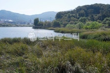 백운호수, 의왕백운호수, 인공호수, 저수지, 의왕저수지, 사진,이미지,일러스트,캘리그라피 - Deep bLUE작가 크라우드픽 - 저작권 걱정 없는... 