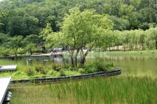 한국, 대한민국, 북서울꿈의숲, 꿈의숲, 공원, 사진,이미지,일러스트,캘리그라피 - binimin작가 크라우드픽 - 저작권 걱정 없는 상업용 이미지