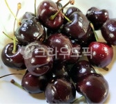 체리, 과일, 상큼, 빨간, cherry, 사진,이미지,일러스트,캘리그라피 - 궈니쑤기작가 크라우드픽 - 저작권 걱정 없는 상업용 이미지