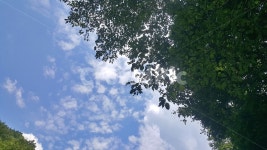 푸른하늘, 맑은날, 화창한, 자연, 풍경, 사진,이미지,일러스트,캘리그라피 - 또또처자작가 크라우드픽 - 저작권 걱정 없는 상업용 이미지