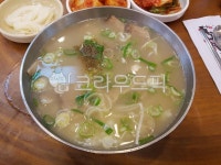 양지탕, 특양지탕, 한식, 사발, 국수사리, 사진,이미지,일러스트,캘리그라피 - 제제3515작가 크라우드픽 - 저작권 걱정 없는 상업용 이미지