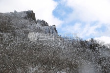 설경, 눈, snow, 무등산, 국립공원, 사진,이미지,일러스트,캘리그라피 - 고운경작가 크라우드픽 - 저작권 걱정 없는 상업용 이미지