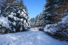 설경, 무주, 덕유산, 국립공원, 구천동, 사진,이미지,일러스트,캘리그라피 - 순딩이작가 크라우드픽 - 저작권 걱정 없는 상업용 이미지