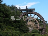 물레방아, 자연, nature, 나무, tree, 사진,이미지,일러스트,캘리그라피 - Nparkyr0작가 크라우드픽 - 저작권 걱정 없는 상업용 이미지