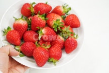 딸기, 과일, 음식, 먹거리, 후식, 사진,이미지,일러스트,캘리그라피 - pb이로작가 크라우드픽 - 저작권 걱정 없는 상업용 이미지