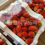 딸기, 농장, 제철, 금실, 쫀득, 사진,이미지,일러스트,캘리그라피 - 찌장작가 크라우드픽 - 저작권 걱정 없는 상업용 이미지