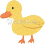 오리, duck, 새, bird, 동물드로잉, 사진,이미지,일러스트,캘리그라피 - ryu1033작가 크라우드픽 - 저작권 걱정 없는 상업용 이미지