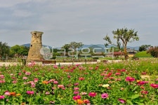 farm, 농장, rural, 농촌, plant, 사진,이미지,일러스트,캘리그라피 - 영산공작가 크라우드픽 - 저작권 걱정 없는 상업용 이미지