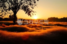 햇빛, sunlight, 옥외, nature, 자연, 사진,이미지,일러스트,캘리그라피 - 태광 최작가 크라우드픽 - 저작권 걱정 없는 상업용 이미지