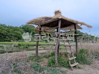 농촌, rural, 원두막, beancurd, 자연, 사진,이미지,일러스트,캘리그라피 - 이세상토깽이작가 크라우드픽 - 저작권 걱정 없는 상업용 이미지