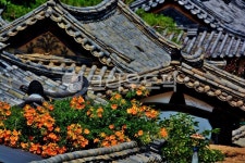 풍경, 집, 하우스, 기와집, 지붕, 사진,이미지,일러스트,캘리그라피 - 깨비선생작가 크라우드픽 - 저작권 걱정 없는 상업용 이미지