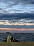 하늘, sea, 바다, 해변, 바위, 사진,이미지,일러스트,캘리그라피 - jaeah78작가 크라우드픽 - 저작권 걱정 없는 상업용 이미지