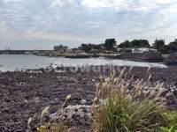 망장포구, 바다, 올레5코스, 올레길, 제주, 사진,이미지,일러스트,캘리그라피 - Deep bLUE작가 크라우드픽 - 저작권 걱정 없는 상업용 이미지