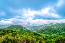 황매산, 철죽, 꽃, 봄, 산, 사진,이미지,일러스트,캘리그라피 - 사진속으로작가 크라우드픽 - 저작권 걱정 없는 상업용 이미지