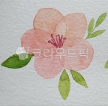 수채화꽃, 수채꽃그림, 수채화일러스트, 작은꽃, 예쁜꽃, 사진,이미지,일러스트,캘리그라피 - 햐캘리수채화작가 크라우드픽 - 저작권 걱정 없는... 
