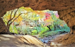 자연, 가을, 단풍, 동굴, nature선운산, 사진,이미지,일러스트,캘리그라피 - 초록별빛작가 크라우드픽 - 저작권 걱정 없는 상업용 이미지