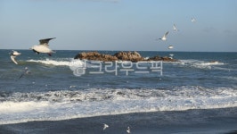 경주, 문무대왕릉, 대왕암, 동해, 바다, 사진,이미지,일러스트,캘리그라피 - antares0408작가 크라우드픽 - 저작권 걱정 없는 상업용 이미지