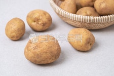 감자, 식재료, 신선식품, 식품, 채소, 사진,이미지,일러스트,캘리그라피 - dangolimage작가 크라우드픽 - 저작권 걱정 없는 상업용 이미지