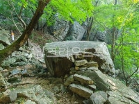 마당바위, 바위, rock, 삼림지, rainforest, 사진,이미지,일러스트,캘리그라피 - 스타크7작가 크라우드픽 - 저작권 걱정 없는 상업용 이미지