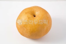 배, pear, fruit, 과일, food, 사진,이미지,일러스트,캘리그라피 - haesung-99작가 크라우드픽 - 저작권 걱정 없는 상업용 이미지