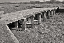 강매동석교, 돌다리, 석교, 고양시향토문화재제33호, 창릉천, 사진,이미지,일러스트,캘리그라피 - Deep bLUE작가 크라우드픽 - 저작권 걱정... 