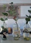 감성, 화병, 꽃, 잎, 장식, 사진,이미지,일러스트,캘리그라피 - 수리두리83작가 크라우드픽 - 저작권 걱정 없는 상업용 이미지