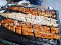 음식, 장어, 양념장어, 소금구이장어, 장어구이, 사진,이미지,일러스트,캘리그라피 - shillr작가 크라우드픽 - 저작권 걱정 없는 상업용 이미지