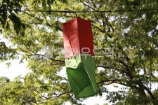 전통, 한국, 한국전통, 호롱, 호롱불, 사진,이미지,일러스트,캘리그라피 - 슈렉작가 크라우드픽 - 저작권 걱정 없는 상업용 이미지