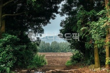 산, 풀, 자연, 나무, 목장, 사진,이미지,일러스트,캘리그라피 - 사진으로말해요작가 크라우드픽 - 저작권 걱정 없는 상업용 이미지