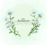 꽃, 수채화, 드로잉, 손그림, 가을, 사진,이미지,일러스트,캘리그라피 - HAPPYJD작가 크라우드픽 - 저작권 걱정 없는 상업용 이미지