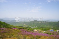 황매산, 철쭉, 꽃, 오토캠핑장, 산, 사진,이미지,일러스트,캘리그라피 - 멍한하루작가 크라우드픽 - 저작권 걱정 없는 상업용 이미지