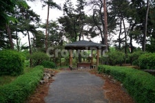 이팝나무, 가로수, 물푸레나무, 니암나무, 뻣나무, 사진,이미지,일러스트,캘리그라피 - Nkhd0192작가 크라우드픽 - 저작권 걱정 없는 상업용... 