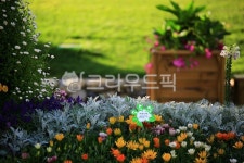 순천만국가정원1호, 테마공원, 자연생태공원, 자연, 옥외, 사진,이미지,일러스트,캘리그라피 - pandora4077작가 크라우드픽 - 저작권 걱정... 